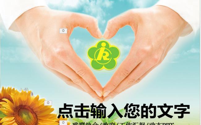 绿叶清新助残日残联协会爱心工作计划PPT缩略图