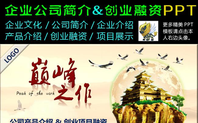 简约大气公司企业简介产品介绍创业融资商业计划书PPT缩略图