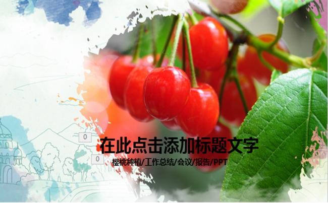 樱桃种植技术樱桃产品介绍樱桃ppt缩略图