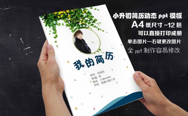 男生小学毕业择校小升初自荐个人简历模板缩略图