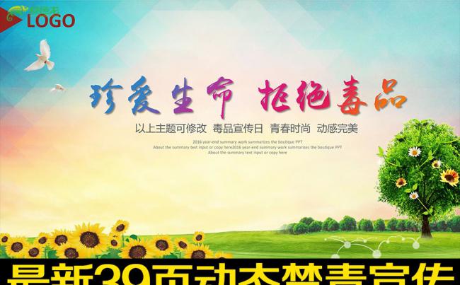 珍爱生命拒绝毒品禁毒宣传工作总结PPT模板缩略图