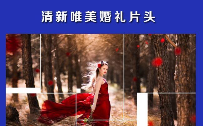 唯美时尚婚礼ppt视频模版图片素材设计缩略图