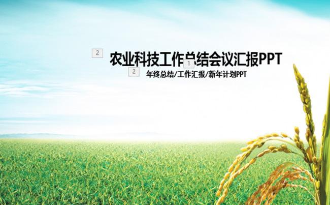 绿色农业种植科技粮食作物生产PPT缩略图