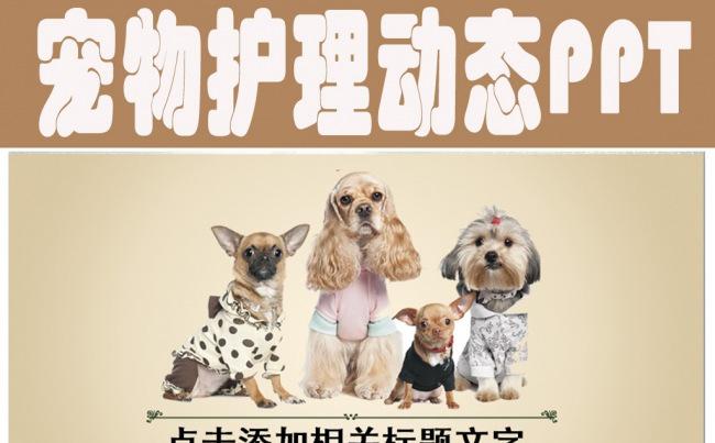 宠物医院宠物店宠物PPT动态模板缩略图