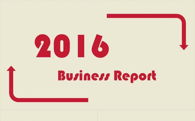 2016 Business Report缩略图