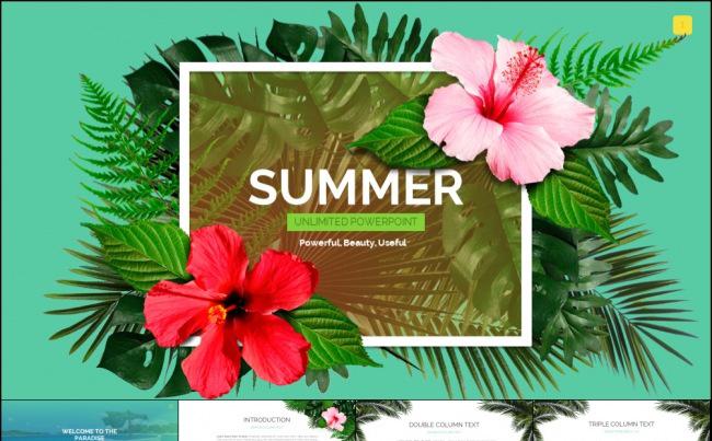 夏日清凉一夏创意简洁干净清爽好看大气欧美排版PPT商务模板缩略图