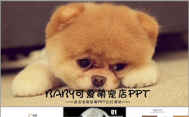 萌翻了可爱萌狗宠物ppt动态模板缩略图