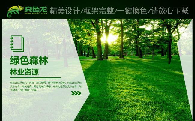 绿色森林植树造林林业木材园林绿化PPT缩略图