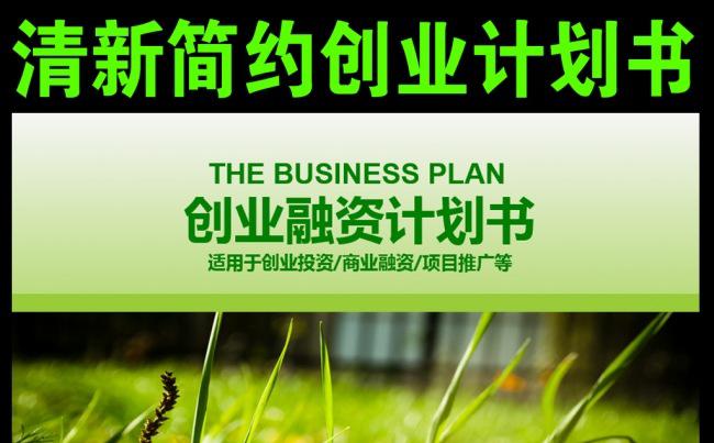 清新大气简约创业计划融资商业计划书PPT缩略图
