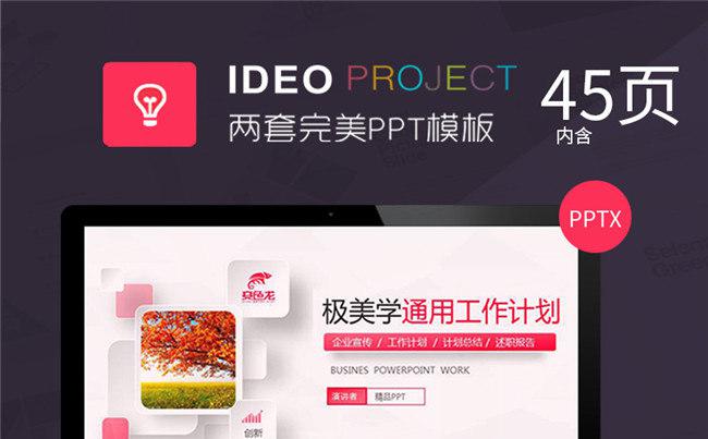 【2套模版】简约工作报告企业宣传模板45页易修改【赢在细节】缩略图