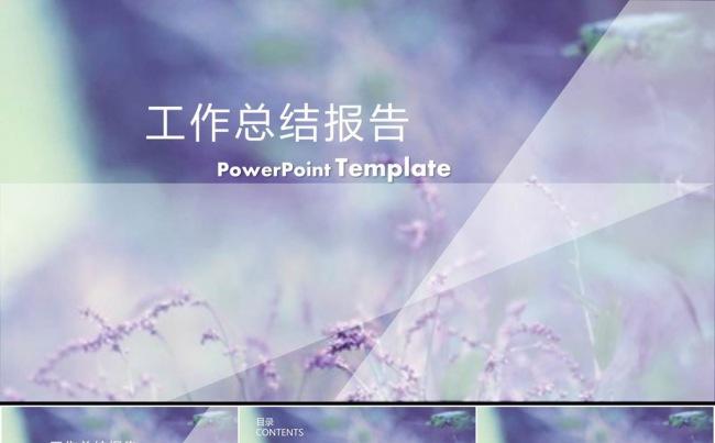 清新淡雅工作总结报告PPT模板缩略图