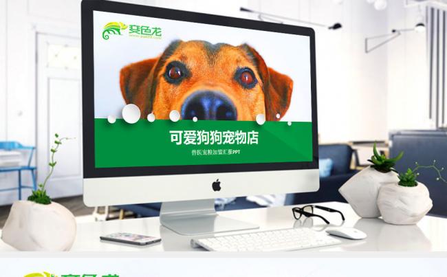 宠物加盟猫狗粮 宠物医院 宠物美容PPT模版缩略图