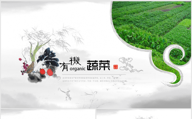 农业有机蔬菜种植基地ppt动态模板缩略图