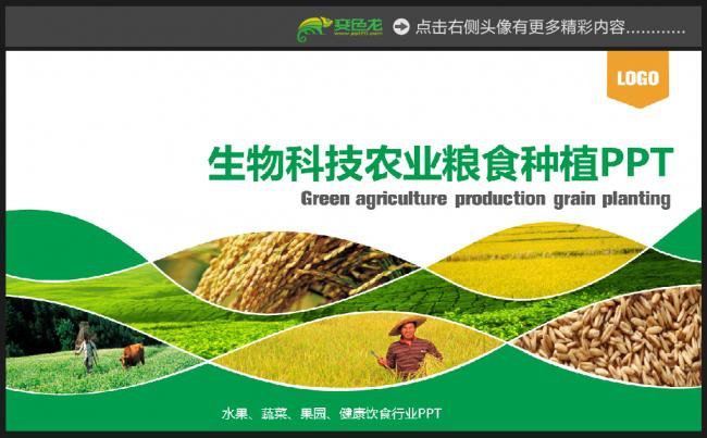 绿色科技有机农业种植ppt粮食作物生产丰收PPT模板缩略图