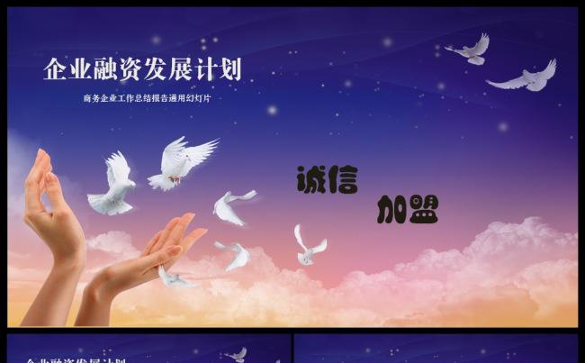唯美商务企划书缩略图