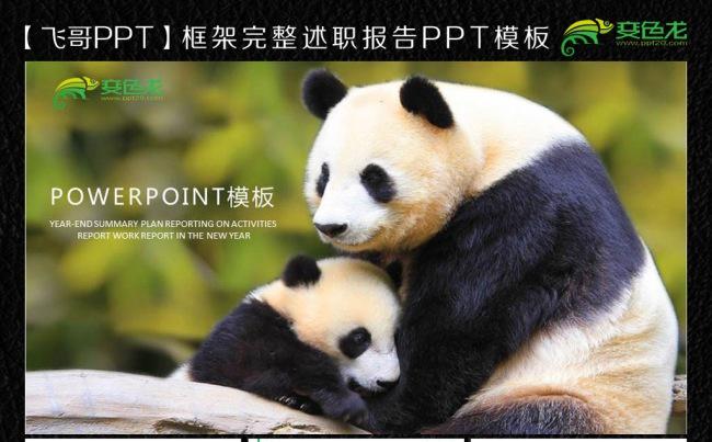 国宝大熊猫工作总结PPT缩略图