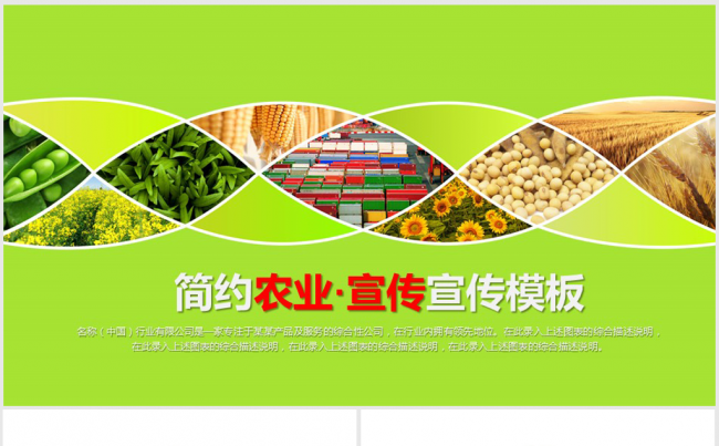 农业农产品种植蔬菜产品宣传PPT模板缩略图