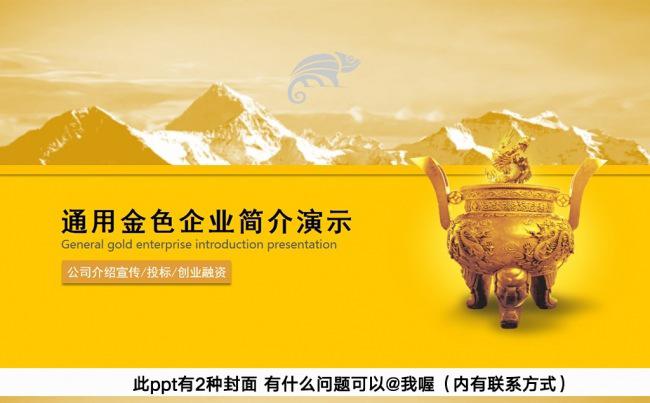 金色大气企业简介  企业文化宣传PPT模板  融资计划书投标缩略图