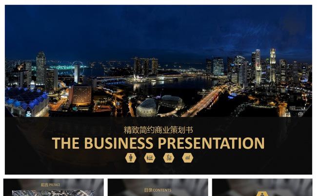 精致简约商业策划书PPT设计缩略图