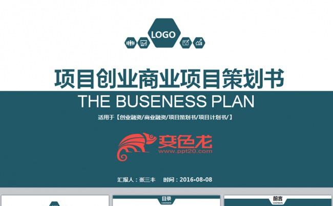 商业创业融资策划计划书缩略图