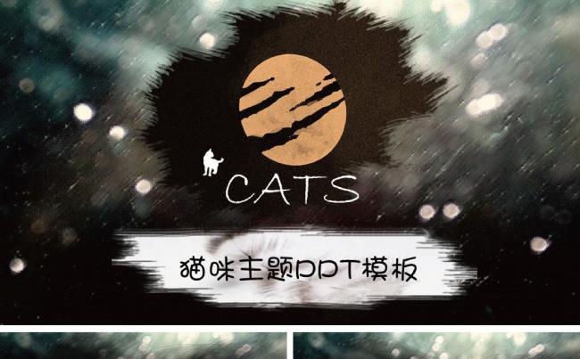 猫咪主题PPT模板缩略图