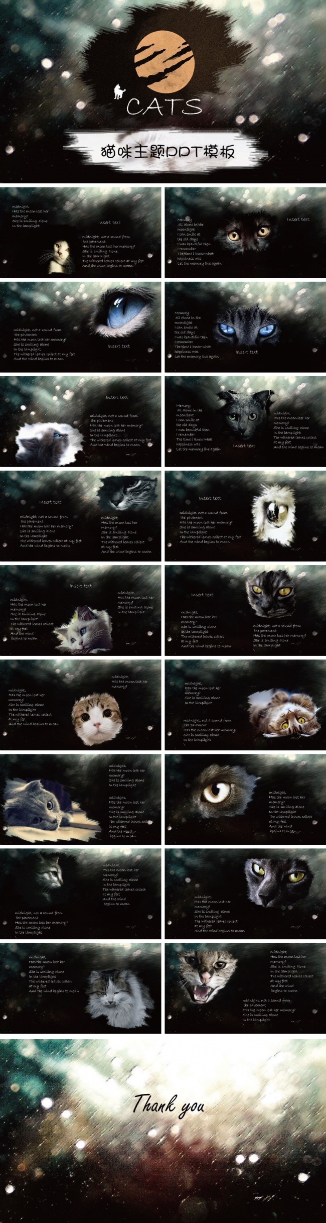 猫咪主题PPT模板
