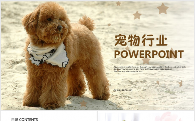 精美宠物ppt动态模板缩略图
