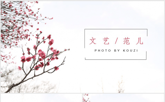 创意手绘小花文艺范儿ppt动态模板缩略图