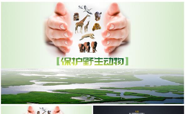保护野生动物通用PPT模板缩略图