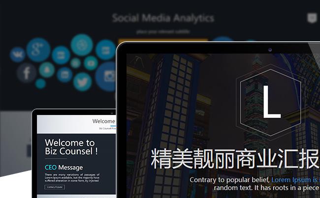 【LY】简约白精美靓丽商业汇报数据PPT缩略图