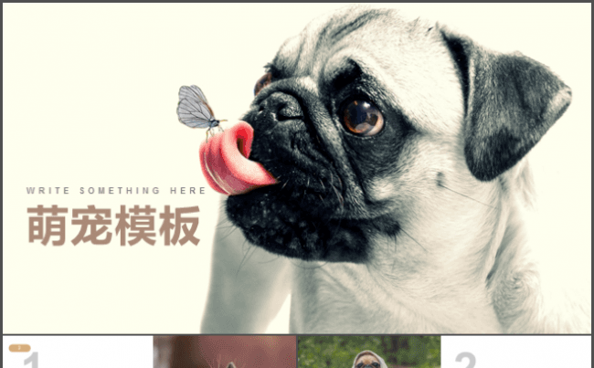 宠物医院萌宠介绍PPT模板缩略图