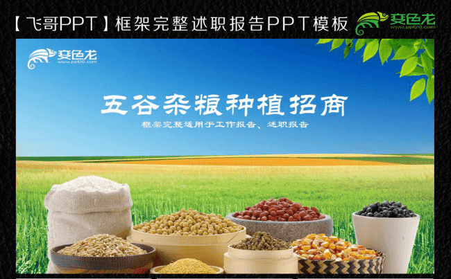 五谷杂粮招商书ppt通用模板缩略图