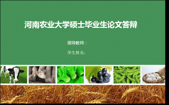 框架完整农业大学论文学术答辩缩略图