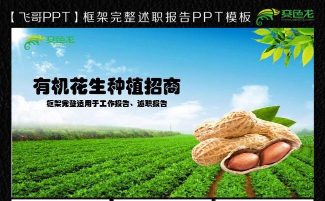 绿色健康有机花生种植招商ppt模板缩略图