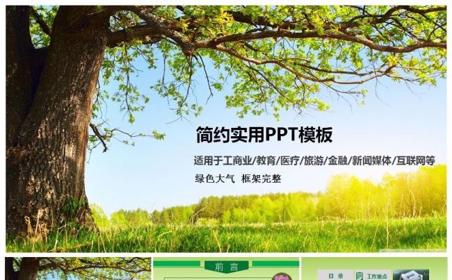 工作报告计划总结 述职 绿色 年度总结计划总结创业融资ppt缩略图