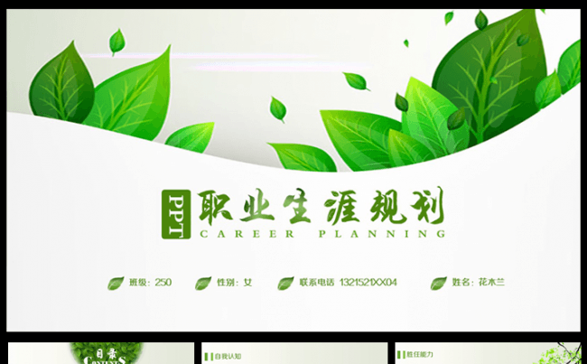 清新爽朗的职业生涯规划PPT模板缩略图
