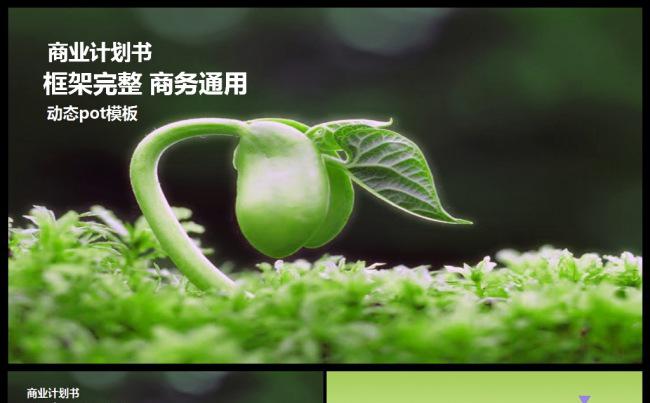 工作报告计划总结 述职 绿色 年度总结计划总结创业融资ppt缩略图