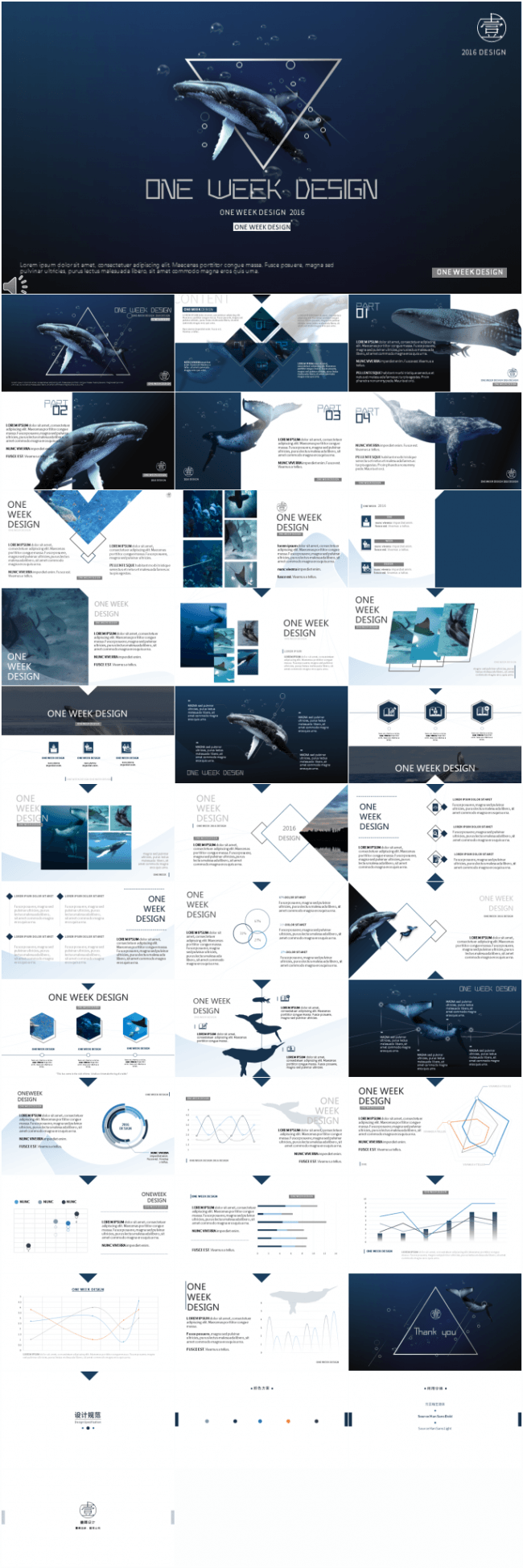 文艺商务动感模板－《ocean》