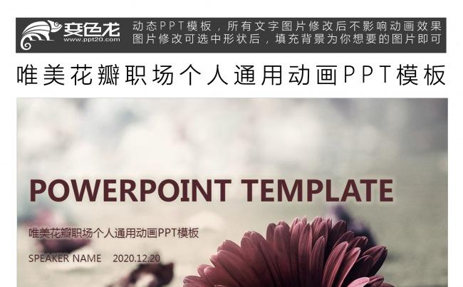 唯美花瓣职场个人通用动画PPT模板缩略图