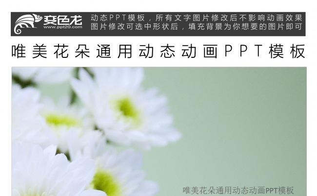 唯美花朵通用动态动画PPT模板缩略图