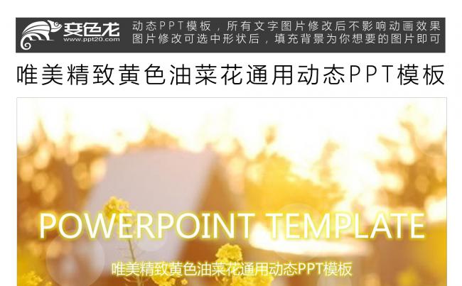 唯美精致黄色油菜花通用动态PPT模板缩略图