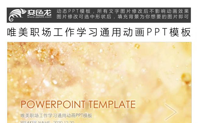 唯美职场工作学习通用动画PPT模板缩略图