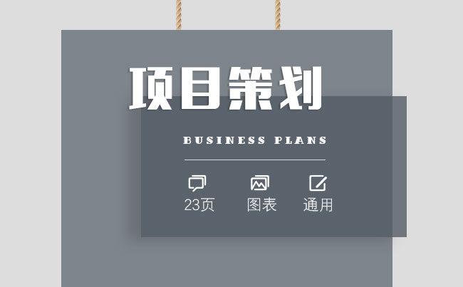 超值商务项目策划PPT模板（B.A.I）缩略图