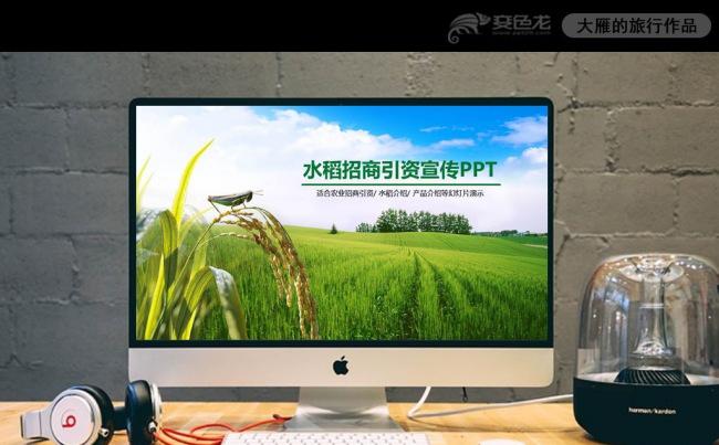 框架完整的五谷杂粮产品介绍招商引资PPT模板缩略图