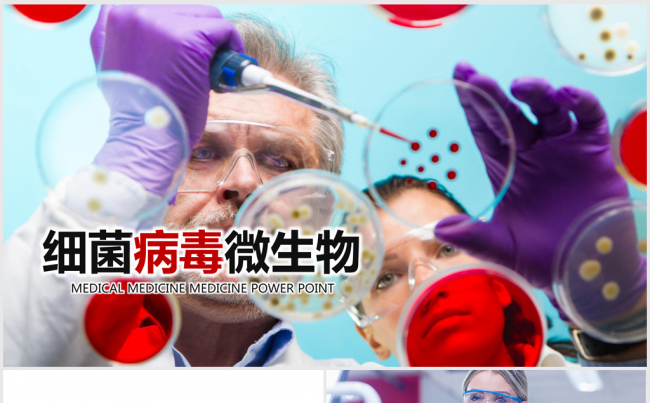细菌病毒微生物细胞干菌ppt动态模板缩略图