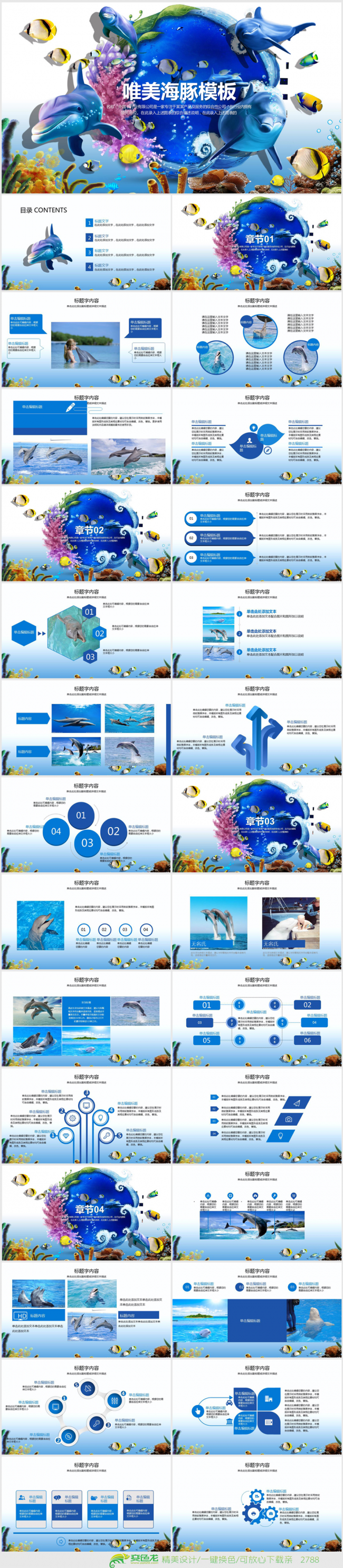 唯美3D立体海豚海底世界ppt动态模板
