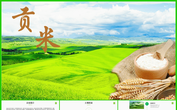 五谷杂粮农产品介绍招商引资模板 【懒人作品】缩略图