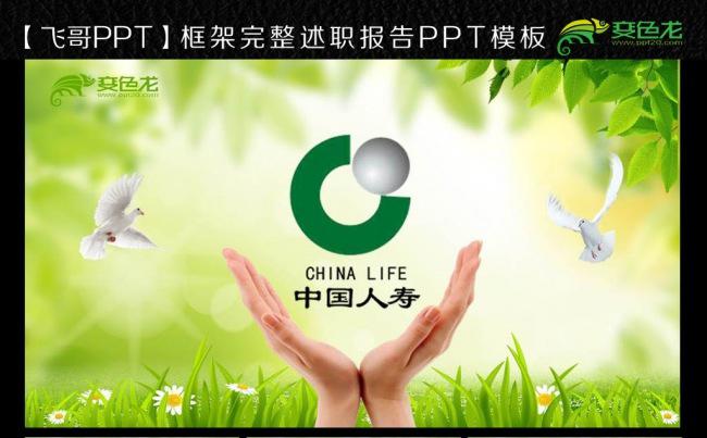 中国人寿保险公司ppt缩略图