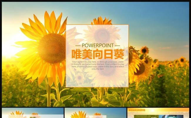 唯美清新自然向日葵动态PPT模板缩略图