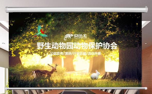 野生动物园策划PPT缩略图